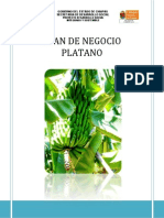 Plan de negocio para el cultivo orgánico de plátano en Chiapas