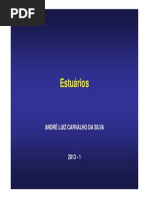 9-Estuarios.pdf