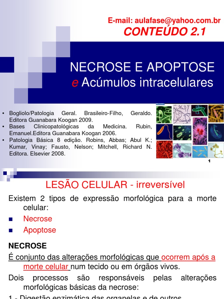 Tipos de Necrose e Apoptose Celular | PDF | Necrose | Apoptose