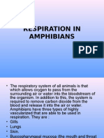 Respiration in Amphibians and Reptiles