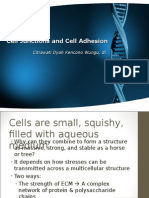 Cell Junctions and Cell Adhesion