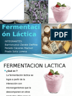 Fermentación Láctica