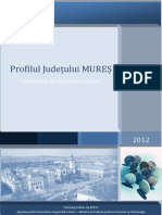6x11y - Profil Judetul Mures - Actualizat 10.09.2012