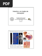 AULA Intestino e Sua Interação Com Os Demais Sistemas