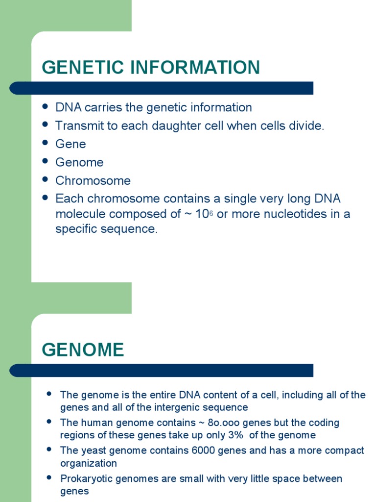 Transfer of Information Rna Dna