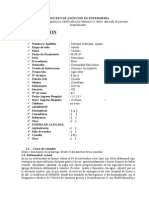 Proceso de Atencion de Enfermeriadominio