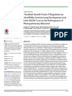 Fibroblast growth factor 9 regulation by microRNAS 