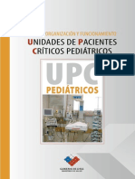Guia Unidad Pacientes Criticos Pediatricos 2006
