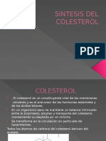 Sintesis Del Colesterol