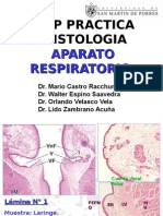 (Lab) Histologia - Aparato Respiratorio