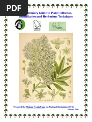 Herbarium Binderplantid
