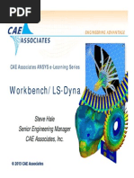 Wb Dyna Caea
