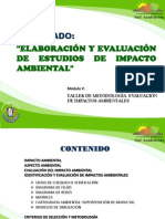 Metodo Estudio Impacto Ambiental