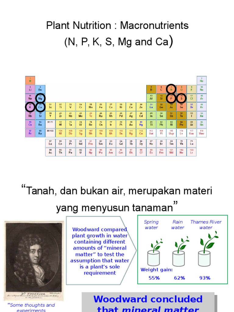 Lecture 3 Plant Nutrition Pdf Cell Membrane Nutrients