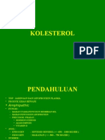 KOLESTEROL2