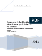 Documento 4 Prob Lematicas Sobre El Perfil de La Sad 2013