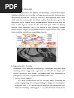 Download Laporan pendahuluan Acl Rupture  by Nadhifa Ismiwandari SN266345218 doc pdf