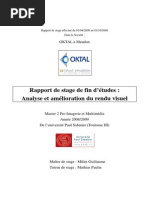 Rapport de Stage de Fin D'études: Analyse Et Amélioration Du Rendu Visuel