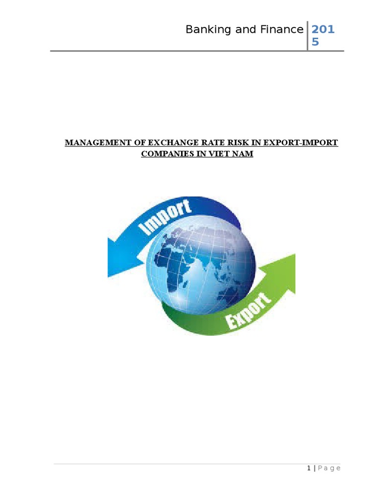 Managing Exchange Rate Risk in Vietnam | PDF | Exchange Rate ...