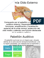Anatomía oído