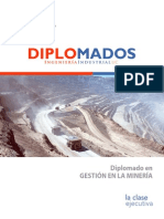 Brochure - Gestion Del Negocio Minero CLASE EJECUTIVA