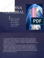 Columna Vertebral Clase