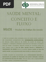 Fluxo Saude Mental