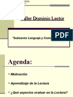 200906022134220.dominio Lector