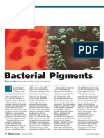 Bacterial Pigments