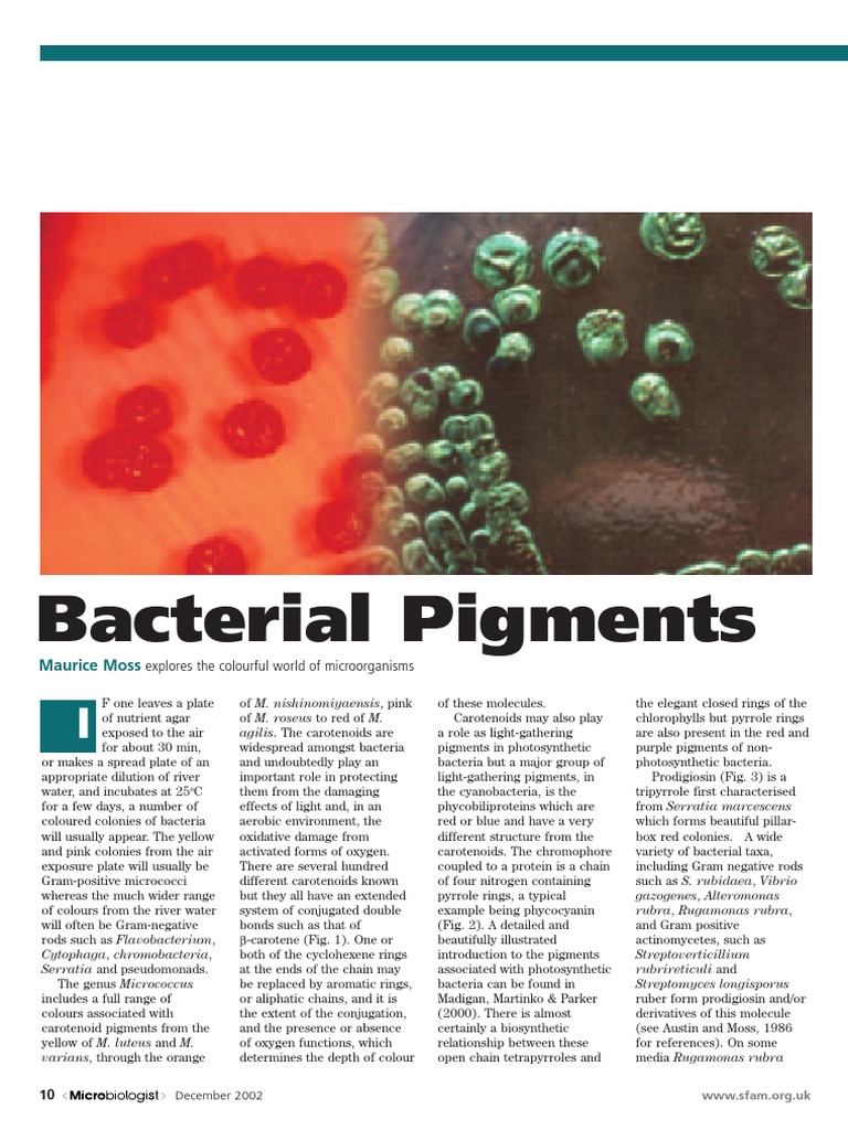 Bacterial Pigments Carotenoid Bacteria