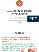 Appendik