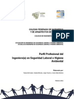 Perfil Profesional Ingeniero Seguridad Laboral e Higiene Ambiental Citec