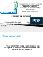 Proiect Diploma Silvicultura