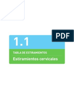 1.1 Estiramientos Cervicales