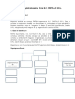 Activitatea de Logistica A Magazinului "REAL"