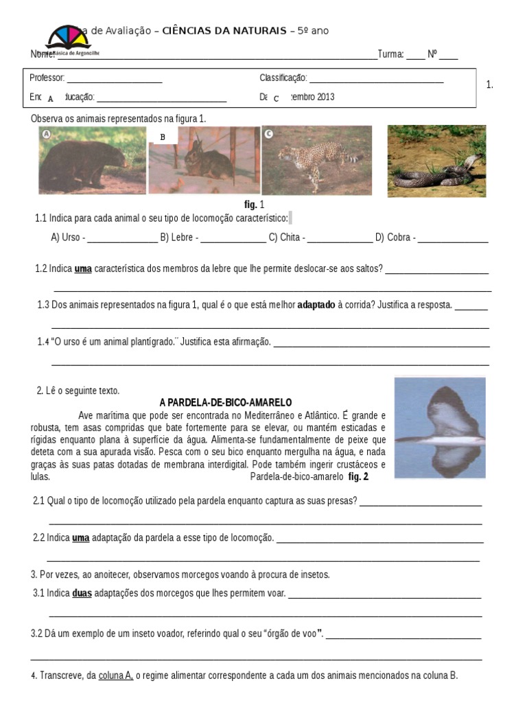Ficha de Avaliação - Ciências Naturais - 5º ano