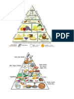 Food Pyramid