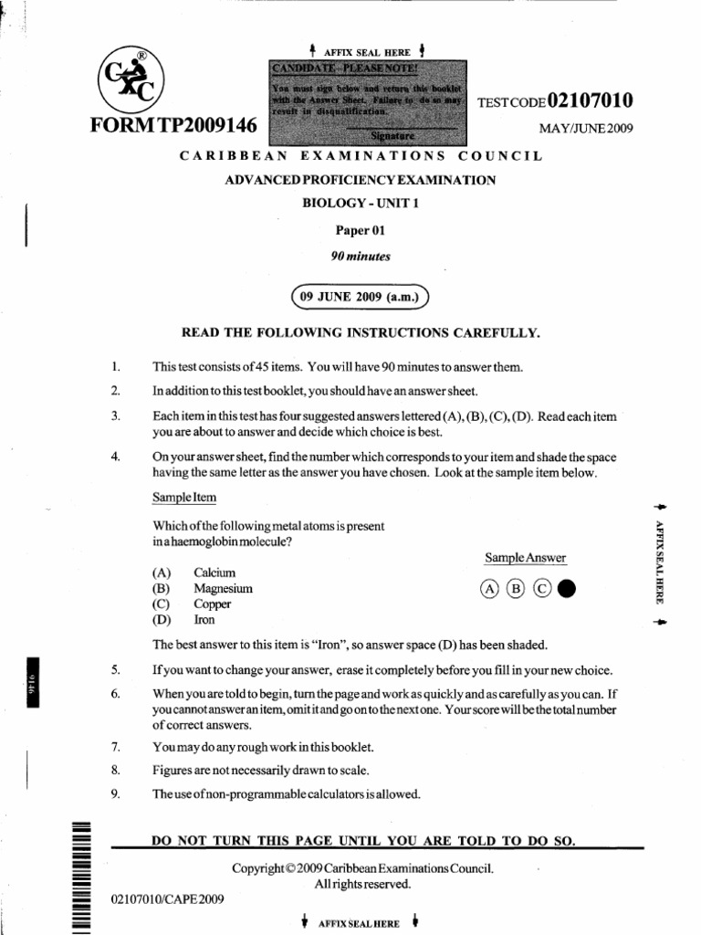 Essay on unit 8 p1 05 image