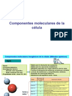 Biomoleculas Membrana Plasmatica