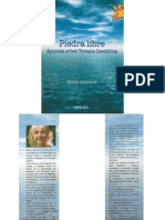 Piedra Libre - Apuntes Sobre Terapia Gestáltica - Mabel Allerand PDF