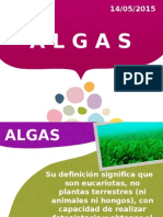 Algas fisilogia vegetal