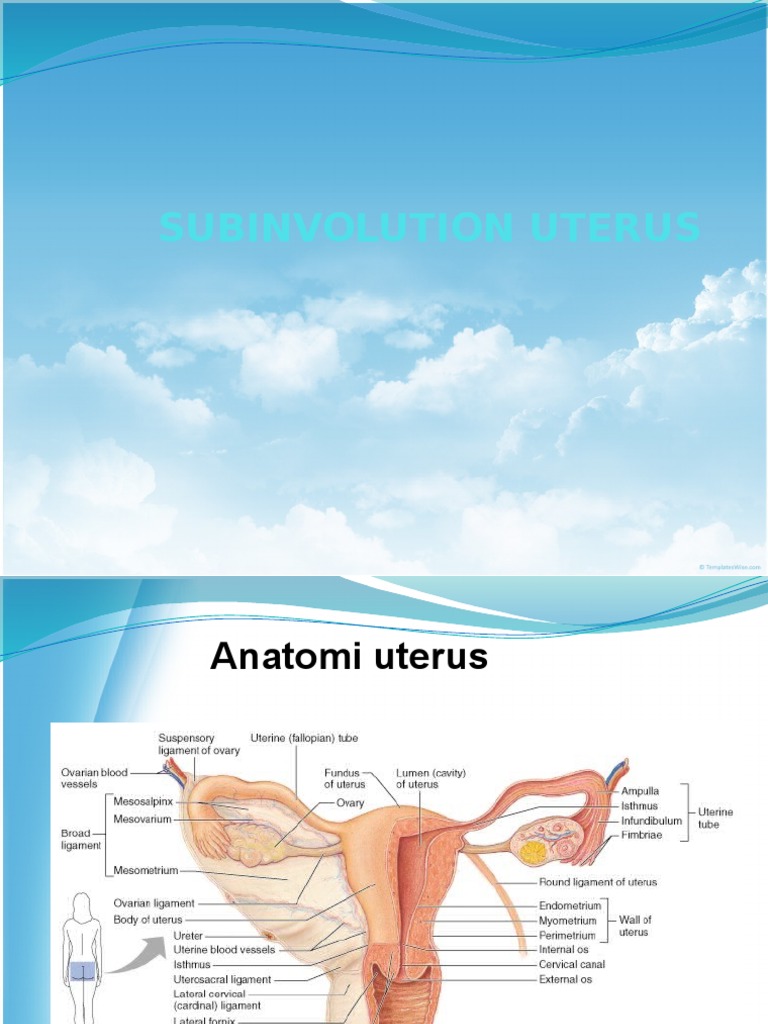 Subinvolution Uterus | PDF | Sains & Matematika