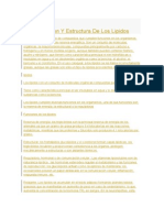 Definicion Y Estructura De Los Lipidos.docx