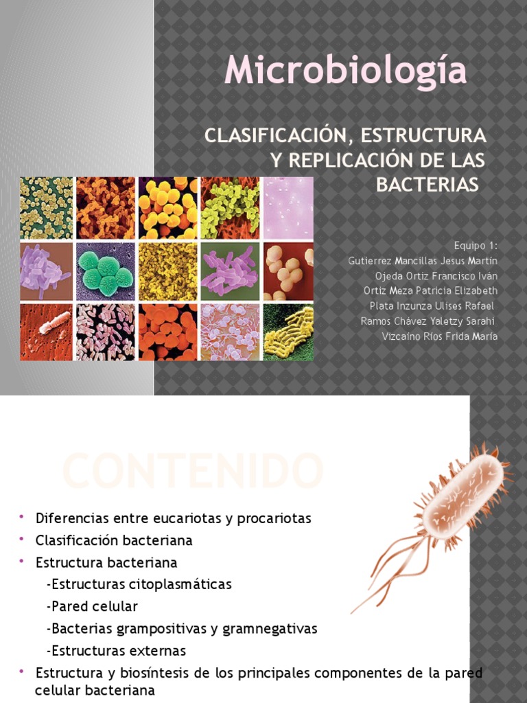 Clasificación y Estructura de Bacterias | PDF | Las bacterias | Citoplasma