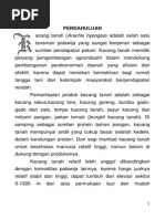 Download Teknik Budidaya Kacang Tanah by Salsabila49 SN266462734 doc pdf