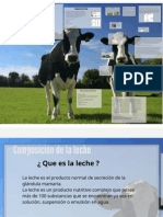 Yourprezi.pdf Composicion de La Leche