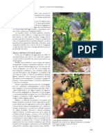 biodiversid_parte_2a.pdf