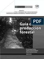 Technical Report - Guia de Produccion Forestal