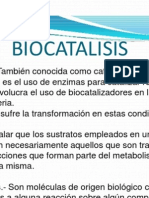 Enzimas, Biocatalisis