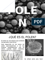 Nuevo Polen